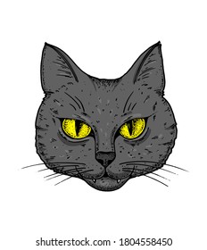 Cat face Vektorgrafik. Handgezeichnet. Katze wütendes Porträt. Vektorgrafik. Cartoon-Stil