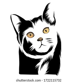 cat face vector realistic artwork