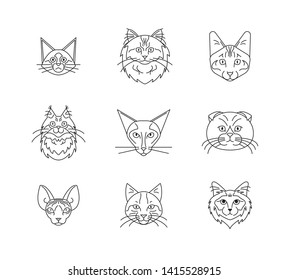Cat faces icon set black and white
