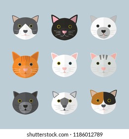 Cat faces in many breeds. With plain background. Flat design style.
