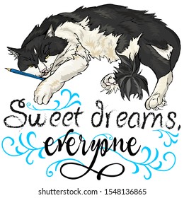 The cat falls asleep and wishes everyone pleasant dreams.