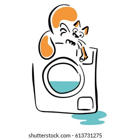 Cat and faulty washing machine
