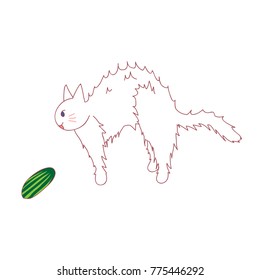 Cat feel Scared from seeing Cucumber. Vector Illustration. isolated on White Background.