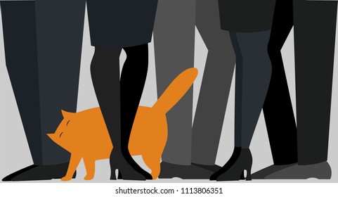 cat at the feet of the owners