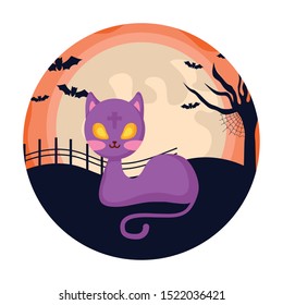 cat feline animal of halloween vector illustration