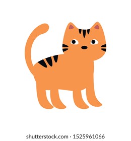 cat feline animal of halloween vector illustration design