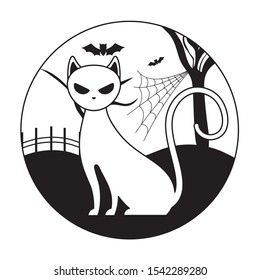 cat feline animal of halloween vector illustration