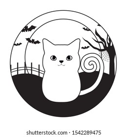 cat feline animal of halloween vector illustration