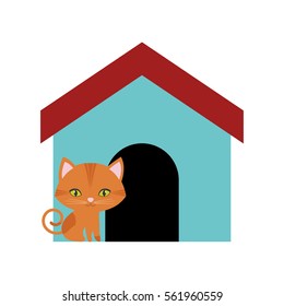 cat feline curious small colored house vector illusration eps 10