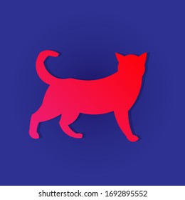 The cat (Felis catus) is a domestic species of small carnivorous mammal.