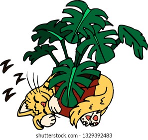 The Cat Fell Asleep behind the Pot with Monstera. Vector Illustration