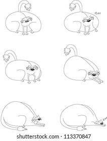 Cat in few positions