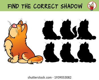 Gato. Encuentra la sombra correcta. Juego educativo para niños. Ilustración vectorial de dibujos animados