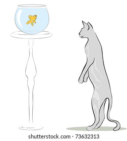 cat and fish in the aquarium