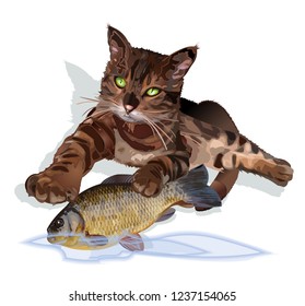 Cat with fish vector illustration isolated on white
