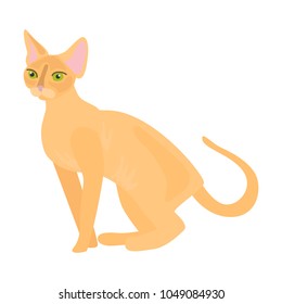 Cat flat color icon