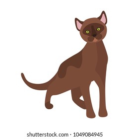 Cat flat color icon