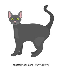 Cat flat color icon