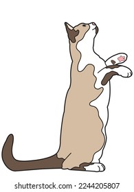 Cat in a flat design on a white background.