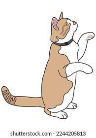 Katze in einem flachen Design auf weißem Hintergrund.