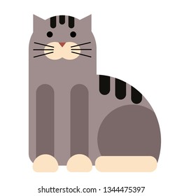 Cat flat illustration on white