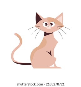 Cat flat illustration slim and simple body
