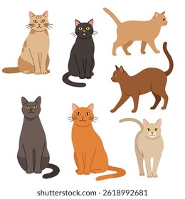 Cat flat vector illustration EPS 10