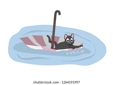 A cat is floating on an umbrella. The cat needs help and wants to be adopted.