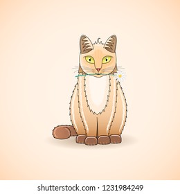 Cat With A Flower
