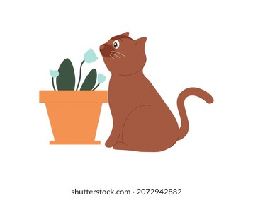 Cat With Flower. Animal Interested In Potted Plants. Kitten Trying To Get To Know World Around Him. Curiosity Metaphor. Cozy And Comfortable Apartment Concept. Cartoon Flat Vector Illustration