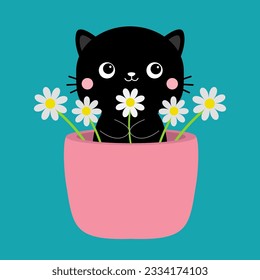 Cat in flower pot. Kitten holding daisy camomile chamomile bouquet. Black silhouette. Pink cheeks. Cute cartoon funny character. Baby pet animal. Flat design. Blue background. Vector illustration