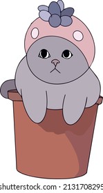 Cat in a flower pot and a pink hat