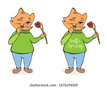 Cat and flowers. Сute animal in a green sweater and knickers. Hello spring Sweet cat and flowers tulip. 