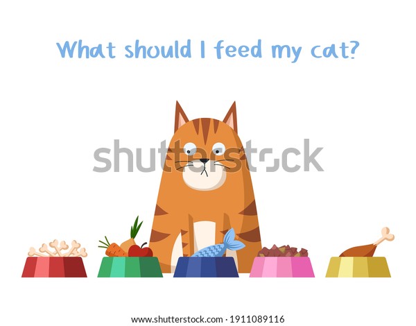 Cat food. Choosing the right diet for\
your cat. Pet care. Allowed and prohibited foods for a cat.\
Isolated on white background. Stock vector\
illustration