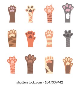 Cat foot. Hand drawn paws. Set of different colored paw prints. Vector illustration.