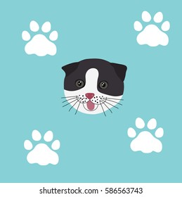 A cat with a foot on blue background vector.