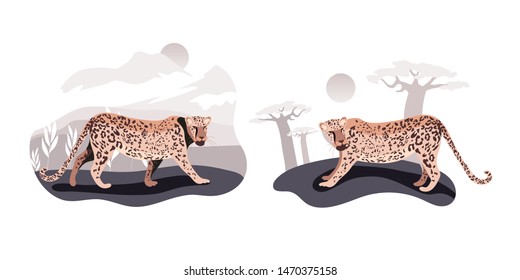 Cat in the forest.Leopards set. Leopard family. Illustration of a wild cat