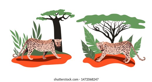 Cat in the forest.Leopards set. Leopard family. Illustration of a wild cat