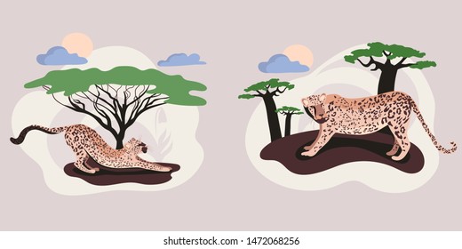 Cat in the forest.Leopards set. Leopard family. Illustration of a wild cat