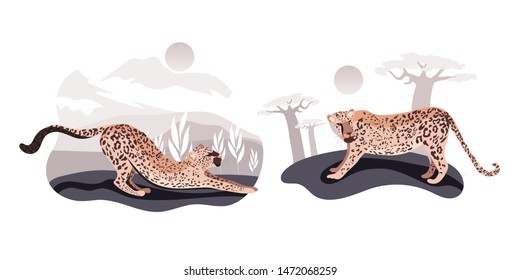 Cat in the forest.Leopards set. Leopard family. Illustration of a wild cat
