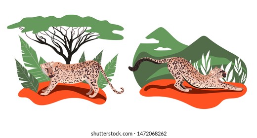 Cat in the forest.Leopards set. Leopard family. Illustration of a wild cat