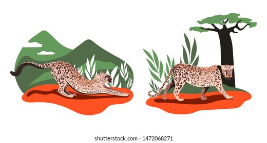 Cat in the forest.Leopards set. Leopard family. Illustration of a wild cat