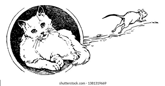El gato olvida, esta escena muestra al gato olvidándose del ratón mientras escapa, dibujo de línea vintage o ilustración de grabado