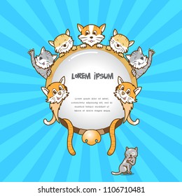 cat frame on colour background,cute cat