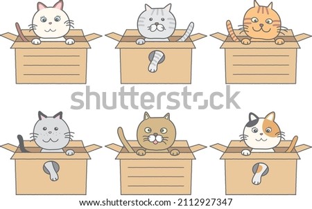 Cat frameset in a cardboard box