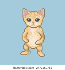 Cat friend Miguel, pixel art meme