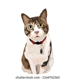 Cat Full Body Vector Design With White Color Background