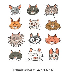 Juego de ilustraciones del vector de la cara del animal divertido del gato.