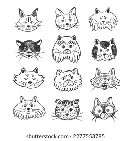 Cat funny animal face vector illustrations set.