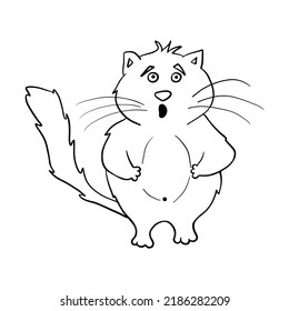 Cat. Funny fat doodle cat. Clipart. shocked cat Vector illustration of a cat.